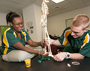Athletic Training and Education Program