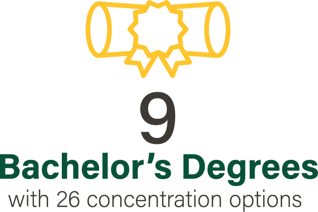 9 Bachelor's Degrees with 26 concentration options