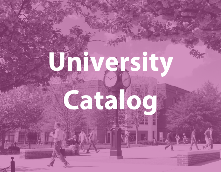 University Catalog